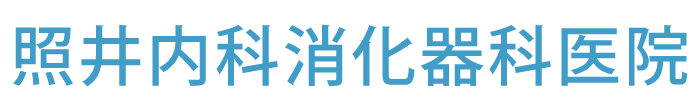 照井内科消化器科医院（花巻市四日町 内科・消化器内科）